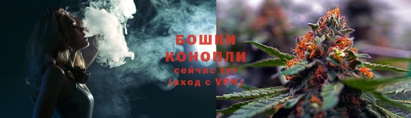 шишки Верхний Тагил