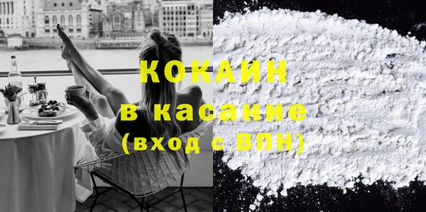шишки Верхний Тагил