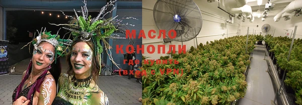 шишки Верхний Тагил