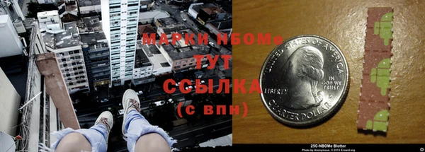 шишки Верхний Тагил
