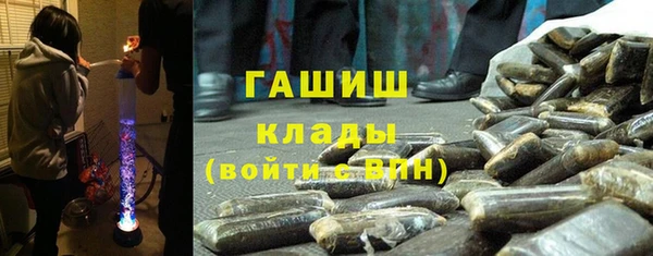 шишки Верхний Тагил