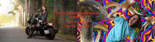 шишки Верхнеуральск